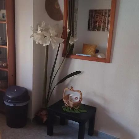 Room In Alicante Alacant Exterior photo